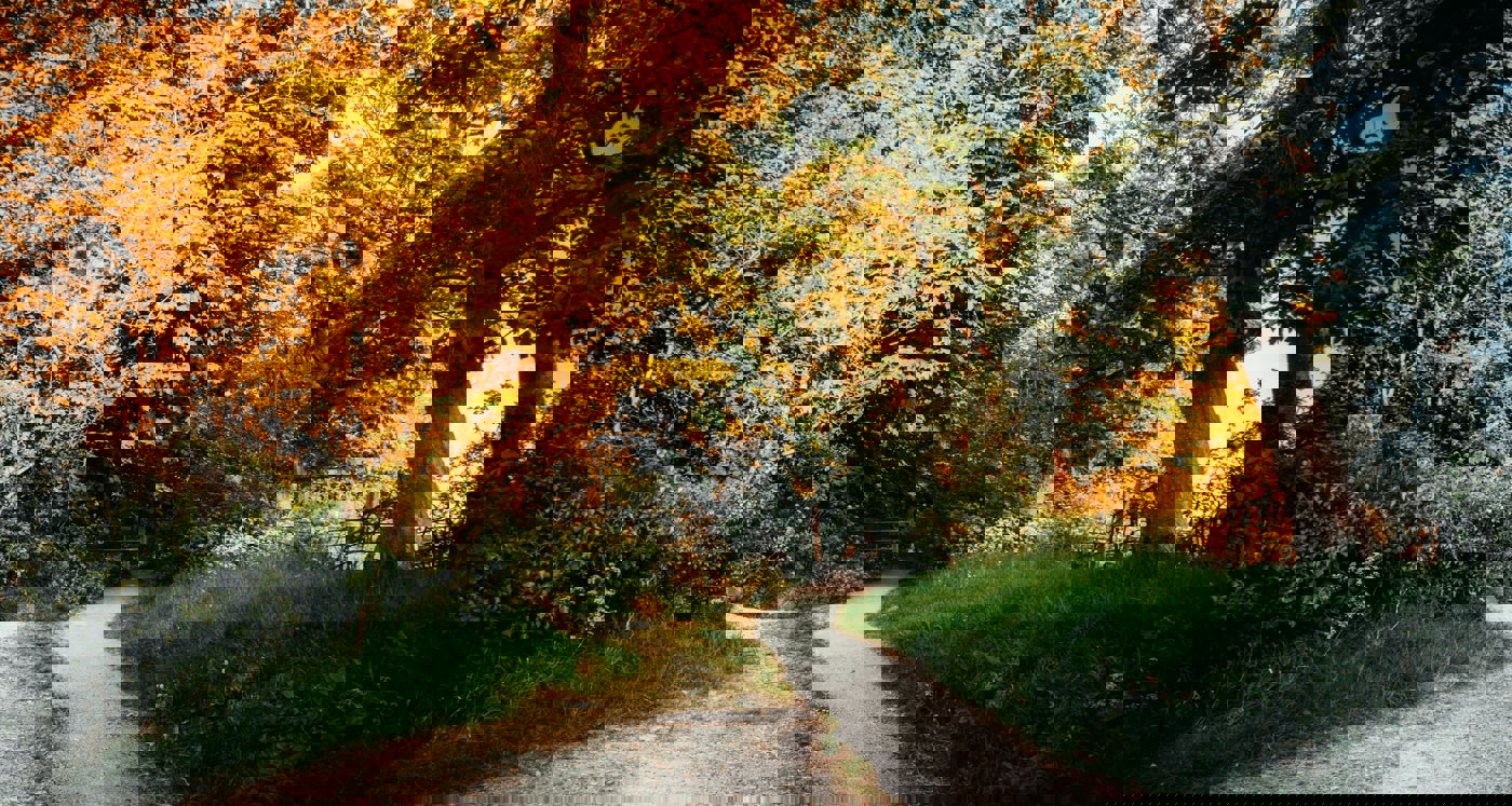 Pexels Lisa 730445 (2)