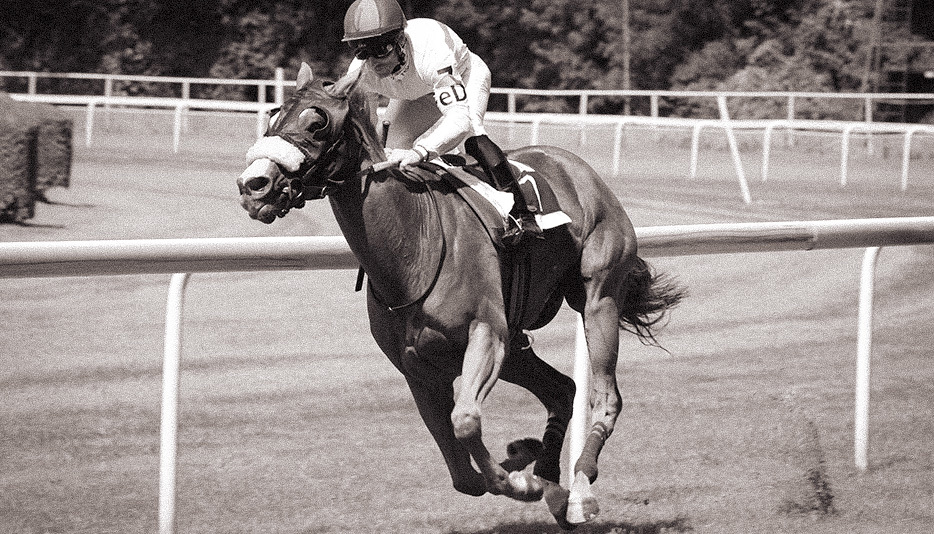 1905 Lotteriansøgning