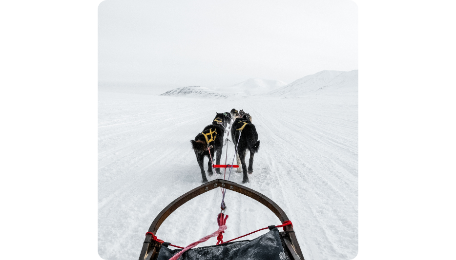 Vind 2 Mio Til Dit Livs Eventyr