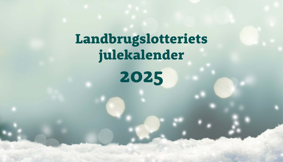 Short Content Julekalender 2025