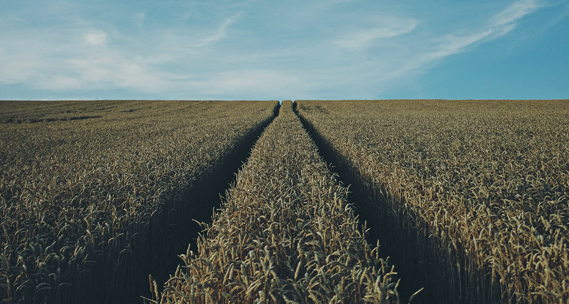 Landbrugslotteriet Støtter Landboungdom Overskuddet Går Til Almennyttige Formål
