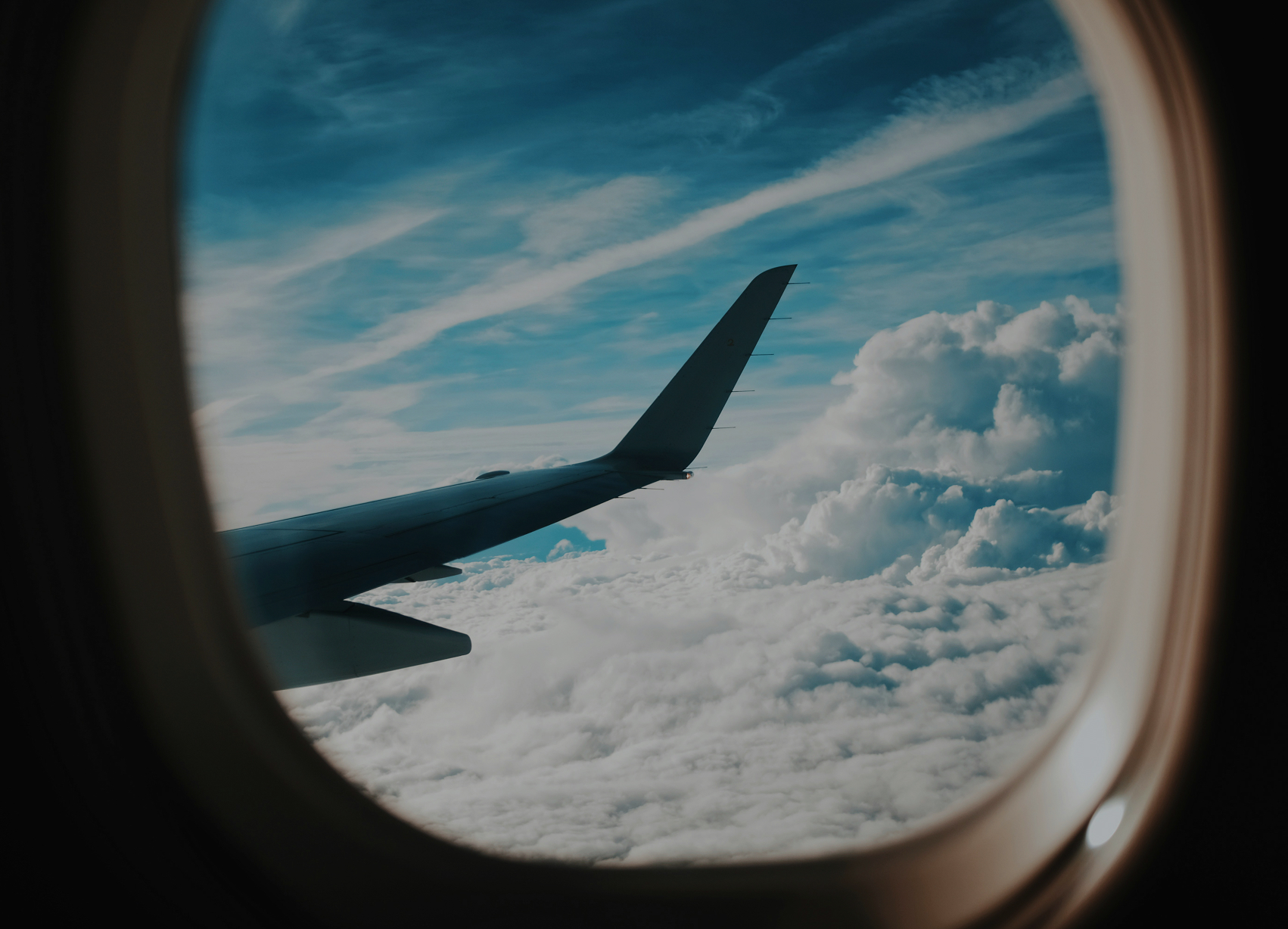 Fly
