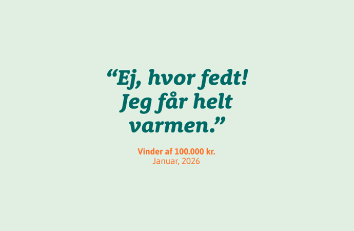 Vindercicat Jan 2026